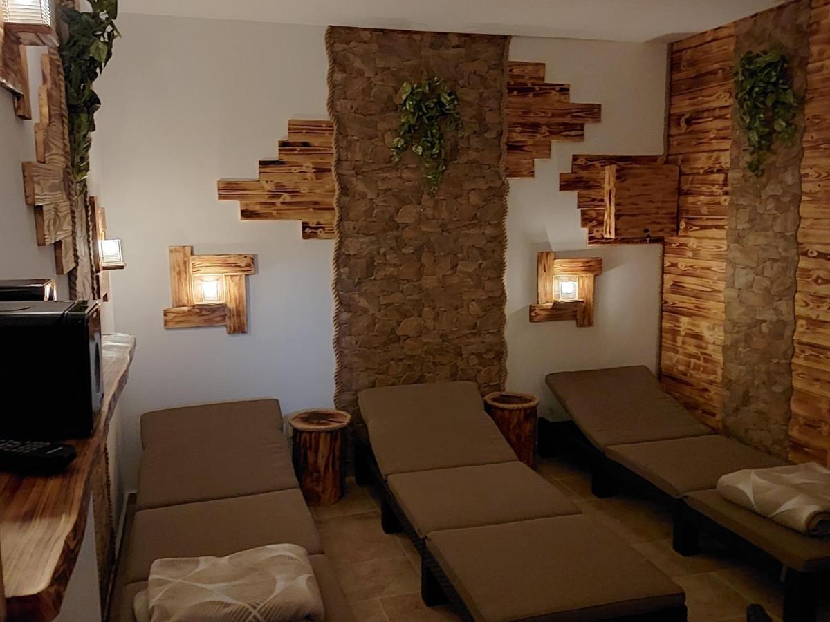 Apartmany Srub Vytonka Lipno Přední Výtoň エクステリア 写真